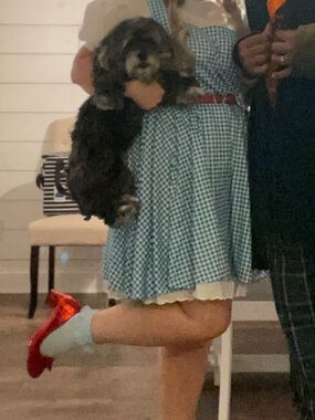 Blue Gingham Dress with Red Shoes